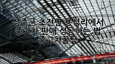🚗💨 성주군 초전면 용성리에서 중고차 판매 성공하는 법! #중고차꿀팁