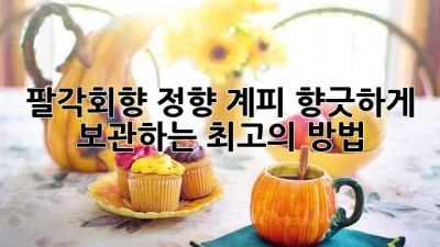 팔각회향, 정향, 계피 향긋하게 보관하는 최고의 방법