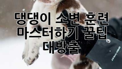 🐶 댕댕이 소변 훈련 마스터하기! 꿀팁 대방출 ✨